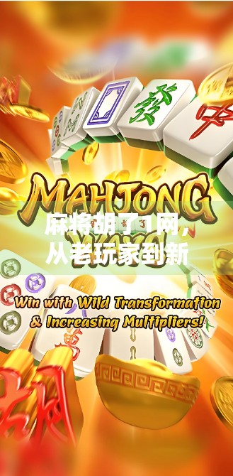 麻将胡了1网，从老玩家到新风口，一场全民娱乐的数字革命