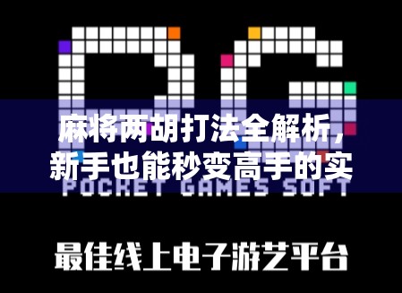 麻将两胡打法全解析，新手也能秒变高手的实战技巧与策略！