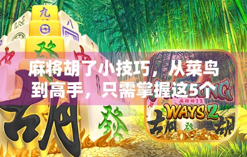 麻将胡了小技巧，从菜鸟到高手，只需掌握这5个核心策略！