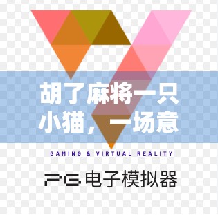 胡了麻将一只小猫，一场意外的治愈之旅