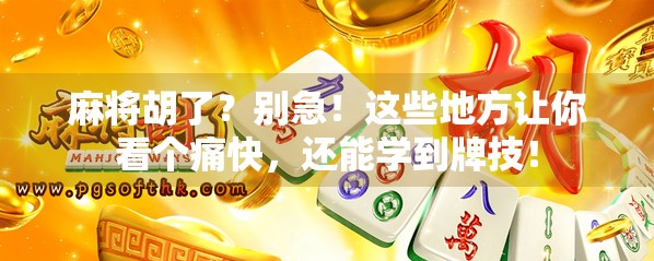 麻将胡了？别急！这些地方让你看个痛快，还能学到牌技！