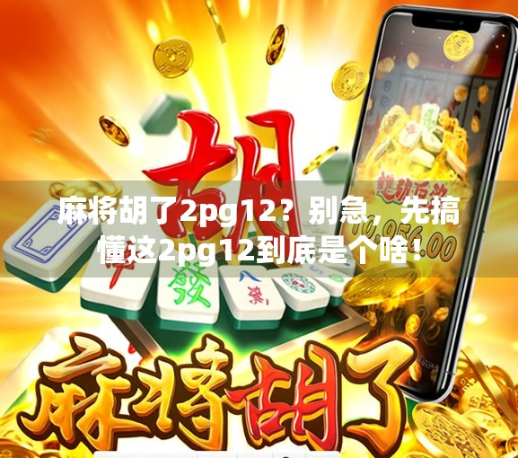 麻将胡了2pg12？别急，先搞懂这2pg12到底是个啥！