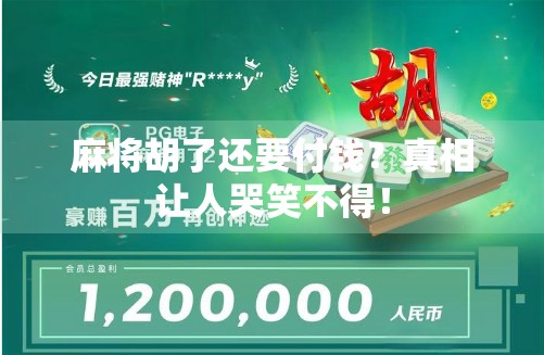 麻将胡了还要付钱？真相让人哭笑不得！