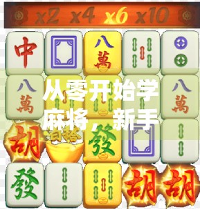 从零开始学麻将，新手也能秒懂的胡了游戏规则全解析！